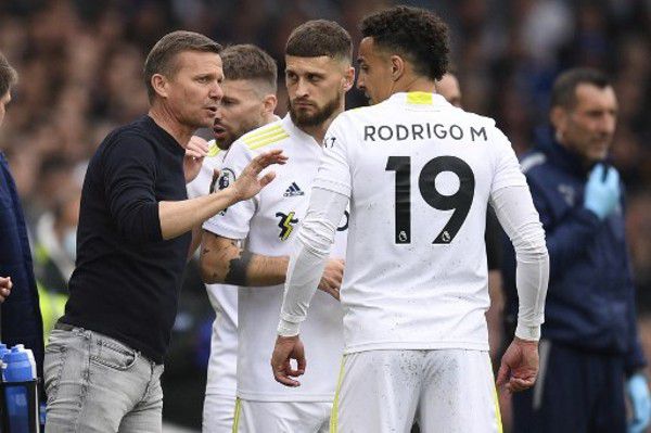 大香一本蕉伊线亚洲网