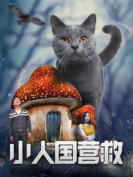 波多野结衣伦理片在线观看