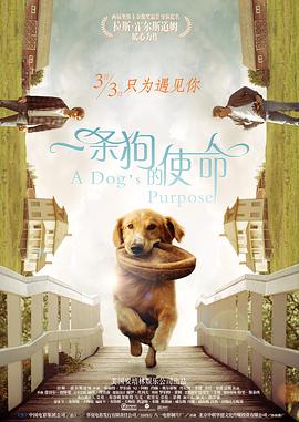 肮脏妻子俱乐部