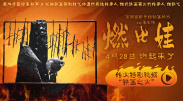 久久精品5