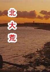 99九九精品视频